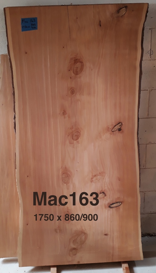 Macrocarpa Slab #163 Rough Sawn