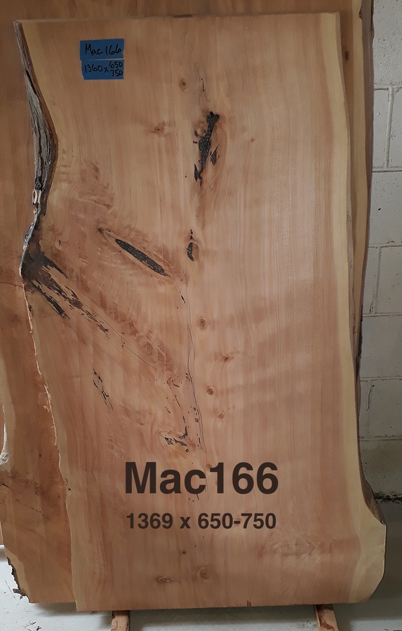 Macrocarpa Slab #166 Rough Sawn 
