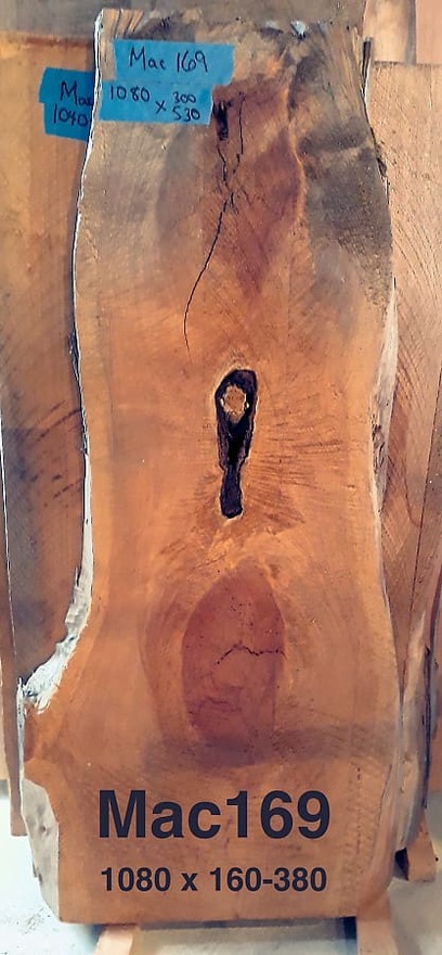 Macrocarpa Slab #169 Rough Sawn