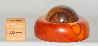 NZ Native Ancient Kauri and Macrocarpa Paperweight - 1856