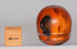 Rhododendron Orb with nails - 1902